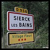 Sierck-les-Bains 57 - Jean-Michel Andry.jpg