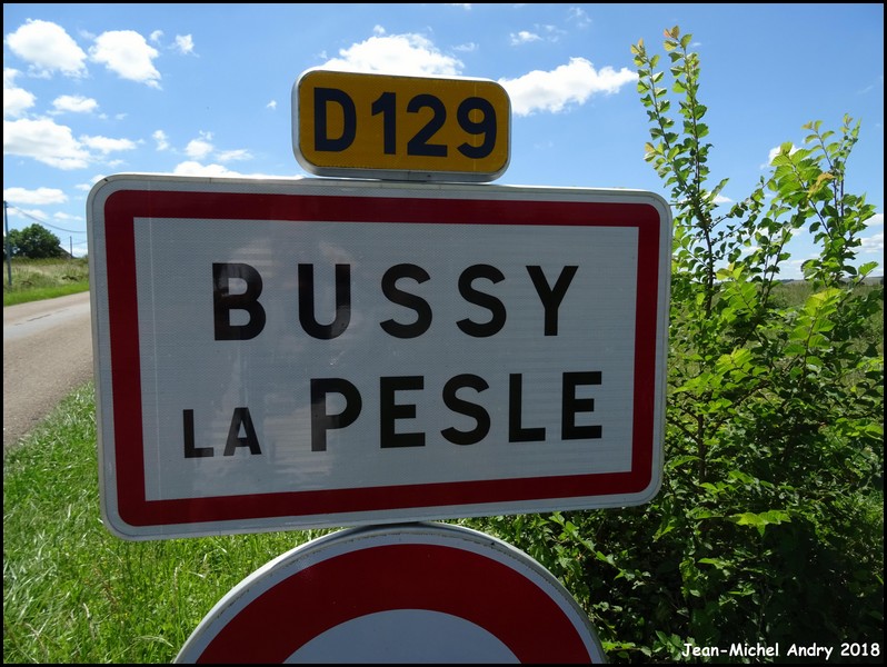 Bussy-la-Pesle 58 - Jean-Michel Andry.jpg