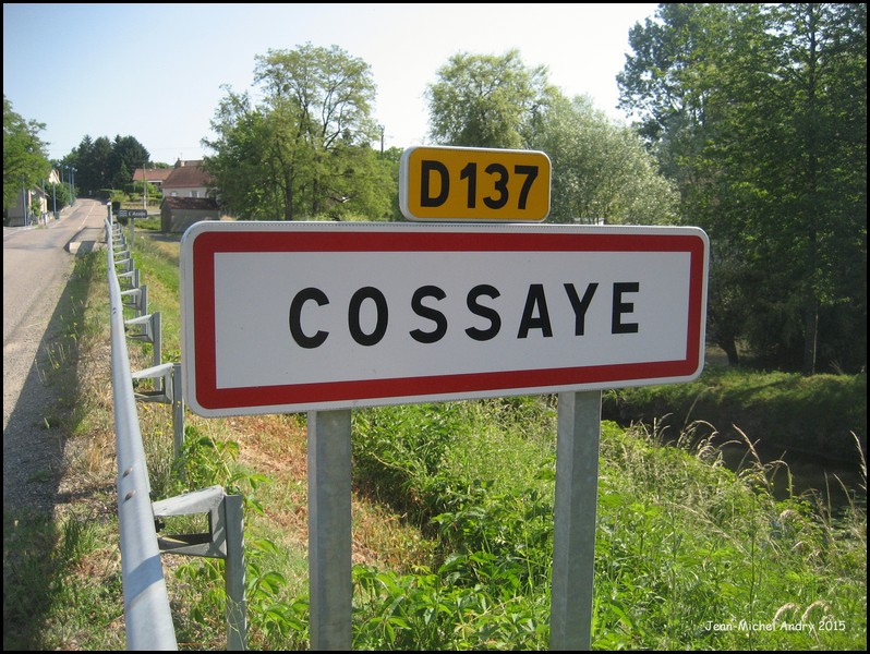 Cossaye 58 - Jean-Michel Andry.jpg