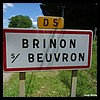 Brinon-sur-Beuvron 58 - Jean-Michel Andry.jpg
