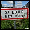 Saint-Loup 58 - Jean-Michel Andry.jpg