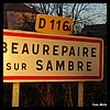Beaurepaire-sur-Sambre 59 - Jean-Michel Andry.jpg