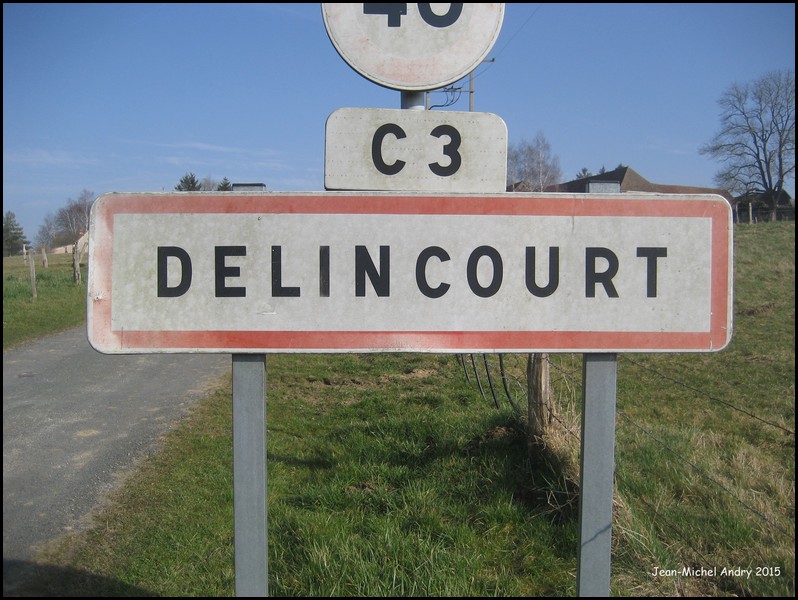 Delincourt 60 - Jean-Michel Andry.jpg
