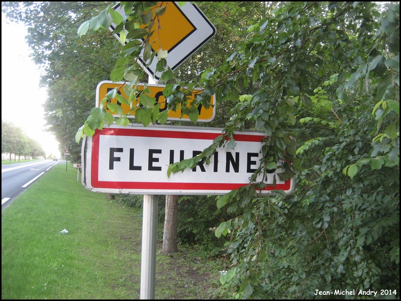 Fleurines 60 - Jean-Michel Andry.jpg