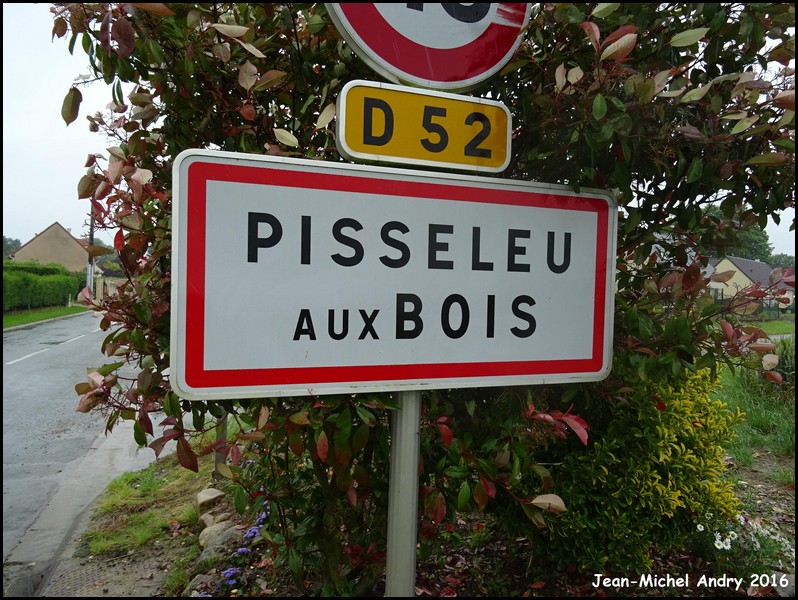 Pisseleu 60 - Jean-Michel Andry.jpg