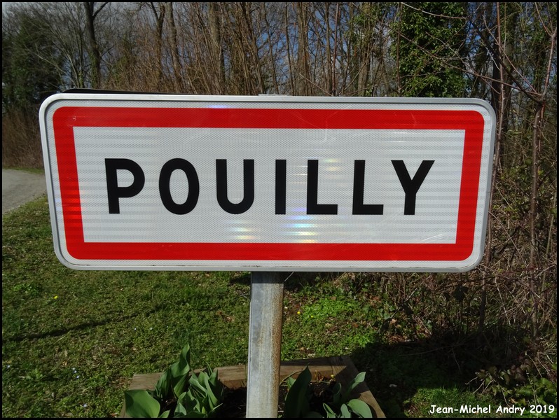 Pouilly 60 - Jean-Michel Andry.jpg