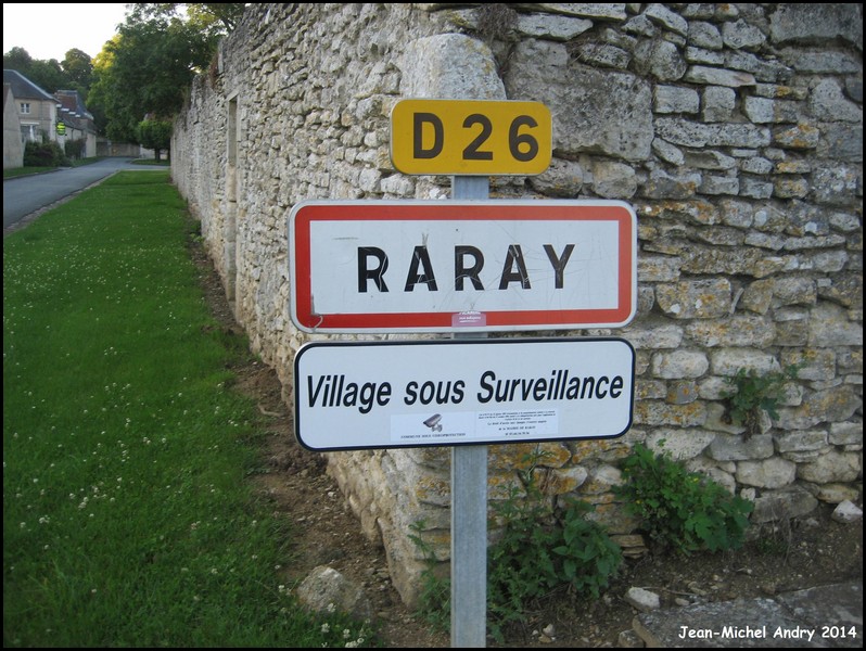 Raray 60 - Jean-Michel Andry.jpg
