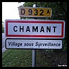 Chamant 60 - Jean-Michel Andry.jpg