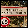 Montagny-Sainte-Félicité 60 - Jean-Michel Andry.jpg