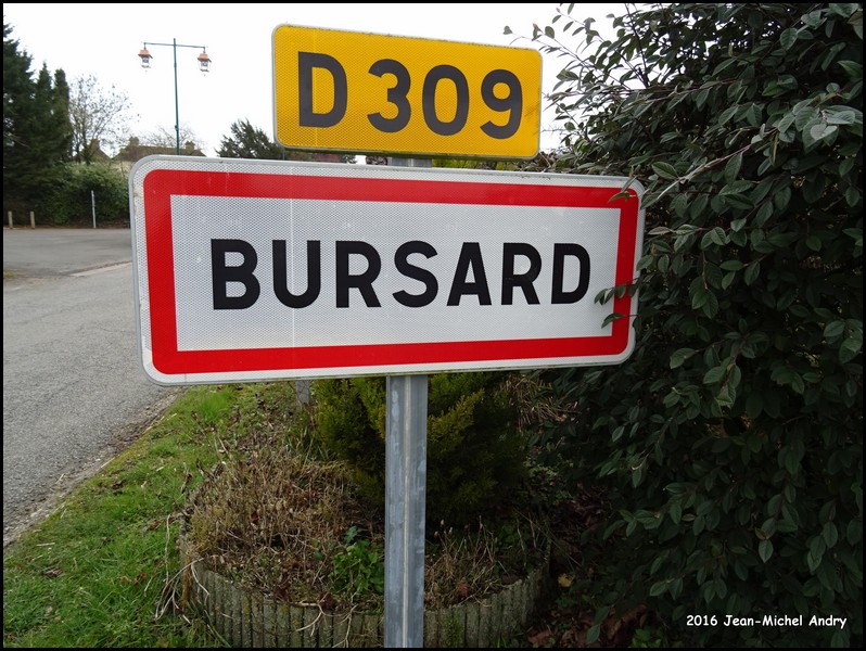 Bursard 61 - Jean-Michel Andry.jpg