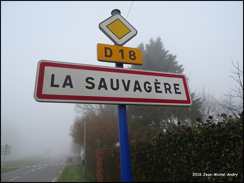 La Sauvagère 61 - Jean-Michel Andry.jpg