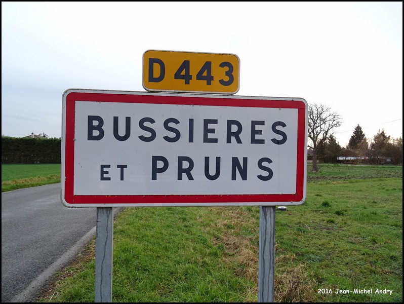 Bussières-et-Pruns 63 - Jean-Michel Andry.jpg
