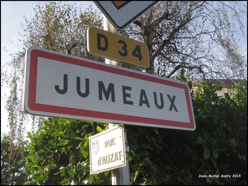 Jumeaux 63 - Jean-Michel Andry.jpg