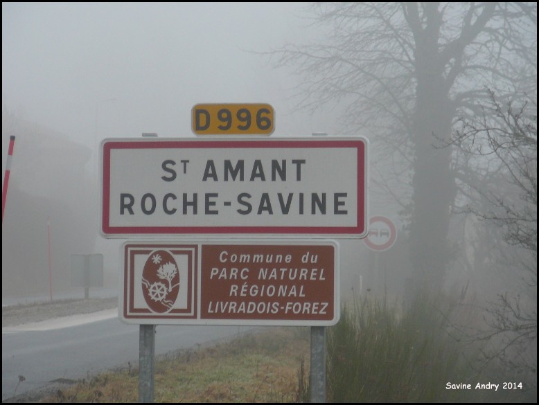 Saint-Amant-Roche-Savine 63 - Savine Andry.jpg