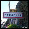 Bergonne 63 - Jean-Michel Andry.jpg