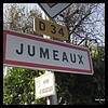 Jumeaux 63 - Jean-Michel Andry.jpg