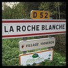 La Roche-Blanche 63 - Jean-Michel Andry.jpg