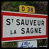 Saint-Sauveur-la-Sagne 63 - Jean-Michel Andry.jpg