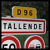 Tallende 63 - Jean-Michel Andry.jpg
