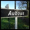 Aubous 64 - Jean-Michel Andry.jpg