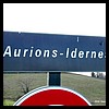 Aurions-Idernes 64 - Jean-Michel Andry.jpg