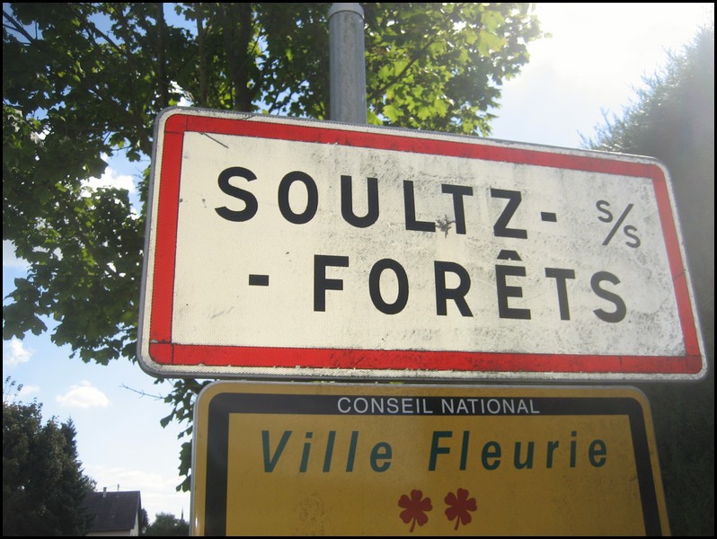 Soultz-sous-Forêts  67 - Jean-Michel Andry.jpg