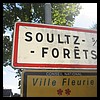 Soultz-sous-Forêts  67 - Jean-Michel Andry.jpg