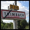Trimbach 67 - Jean-Michel Andry.jpg