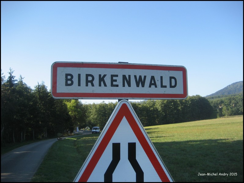 Birkenwald 67 - Jean-Michel Andry.jpg
