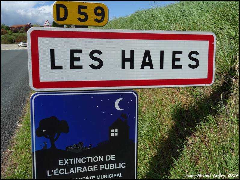 Les Haies 69 - Jean-Michel Andry.jpg
