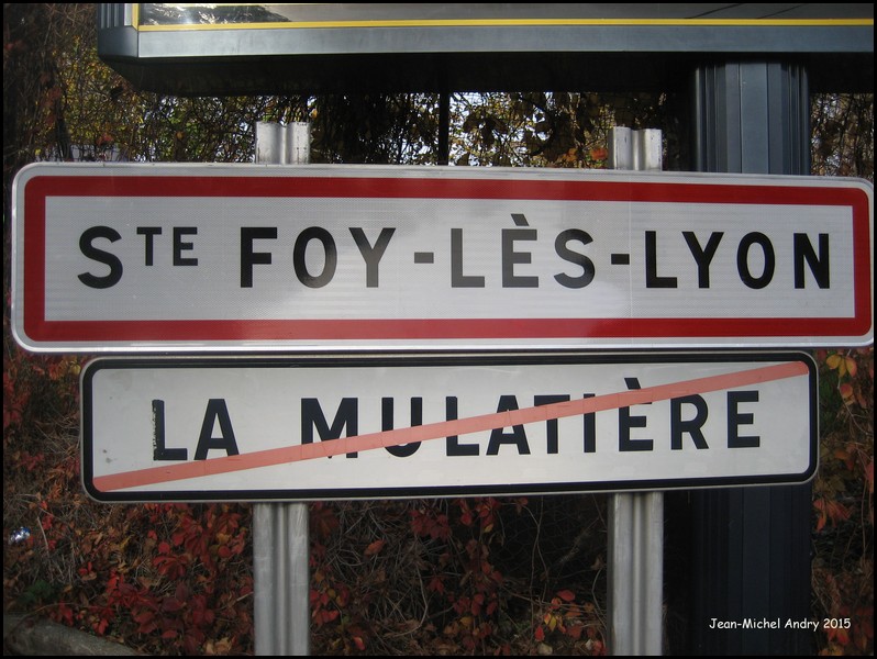 Sainte-Foy-lès-Lyon 69 - Jean-Michel Andry.jpg
