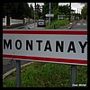 Montanay 69 - Jean-Michel Andry.jpg