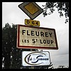 Fleurey-lès-Saint-Loup 70 Jean-Michel Andry.jpg