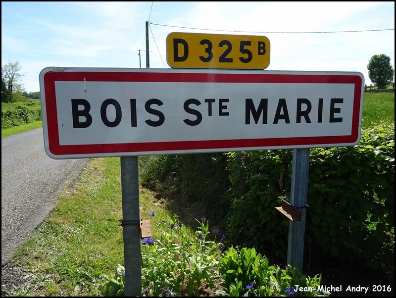 Bois-Sainte-Marie 71 - Jean-Michel Andry.jpg