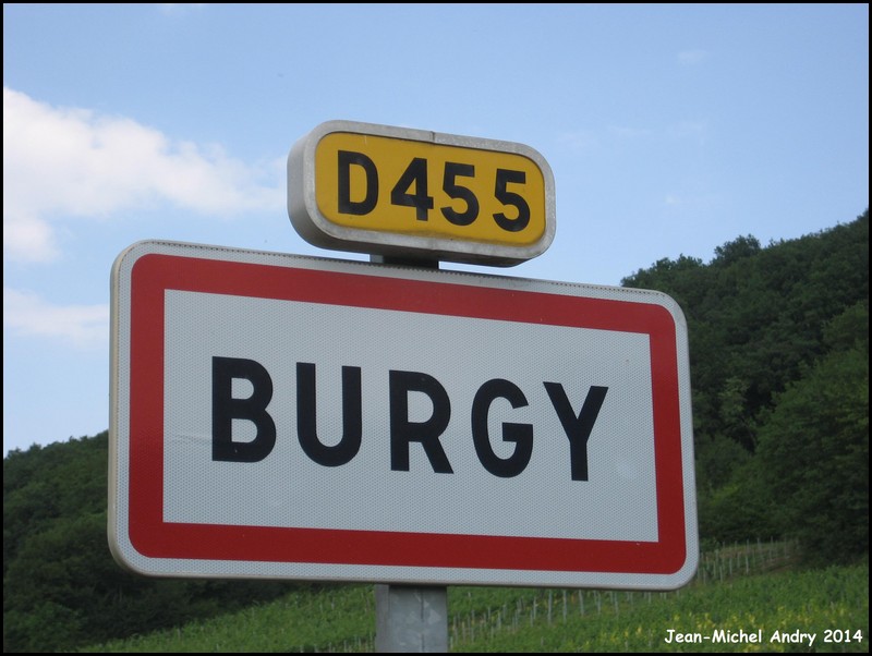 Burgy 71 - Jean-Michel Andry.jpg