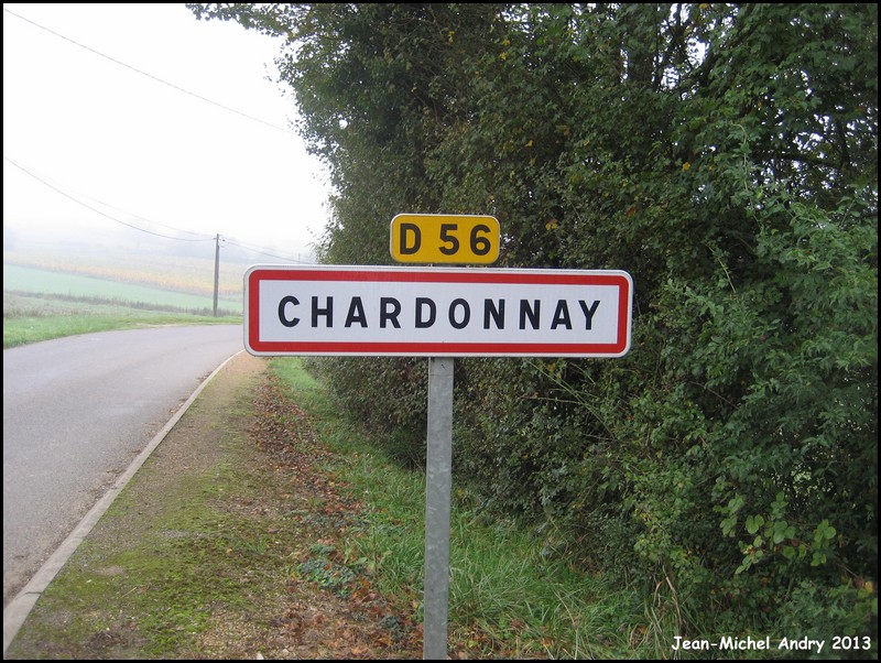 Chardonnay 71 - Jean-Michel Andry.jpg
