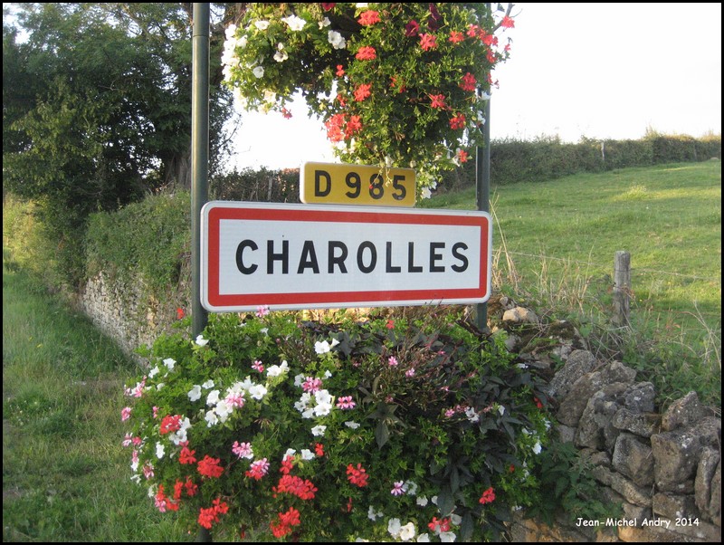 Charolles 71 - Jean-Michel Andry.jpg