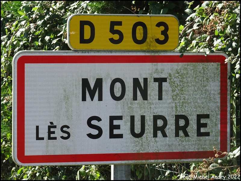 Mont-lès-Seurre 71 - Jean-Michel Andry.jpg