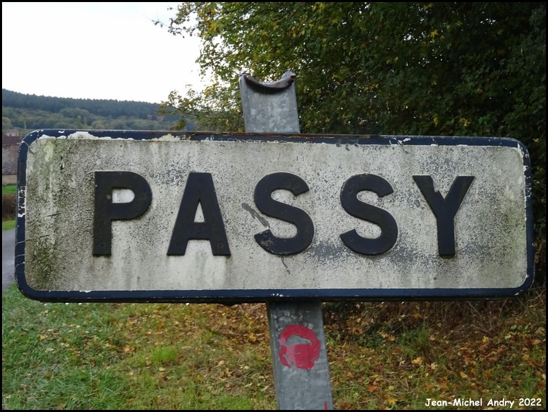 Passy 71 - Jean-Michel Andry.jpg