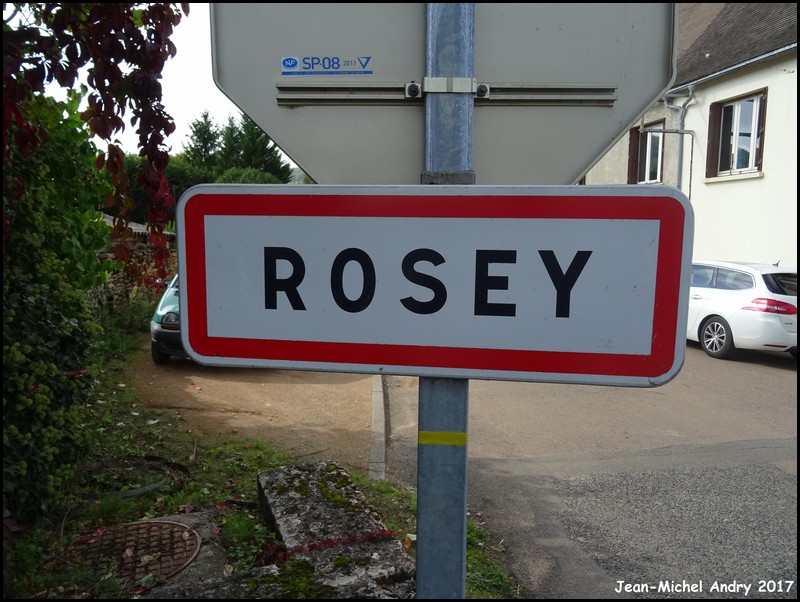 Rosey 71 - Jean-Michel Andry.jpg