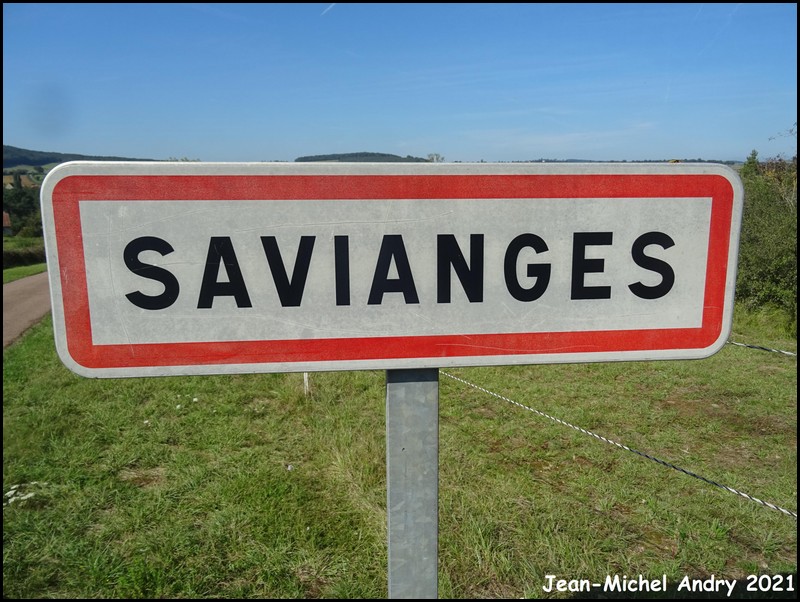 Savianges 71 - Jean-Michel Andry.jpg
