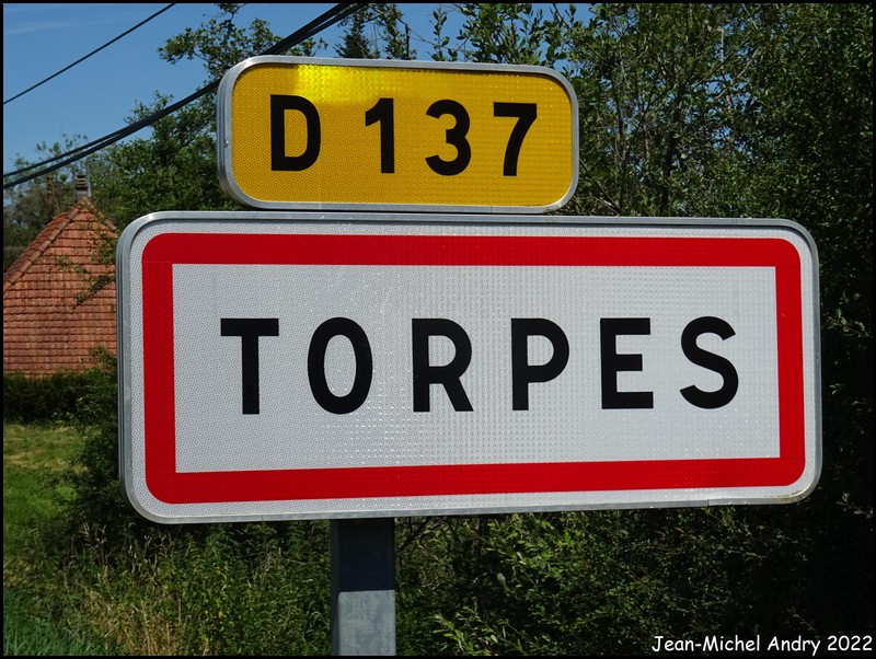 Torpes 71 - Jean-Michel Andry.jpg
