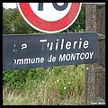 Montcoy 71 - Jean-Michel Andry.jpg