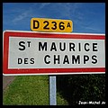 Saint-Maurice-des-Champs 71 - Jean-Michel Andry.jpg