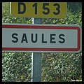 Saules 71 - Jean-Michel Andry.jpg