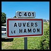 Auvers-le-Hamon 72 - Jean-Michel Andry.jpg