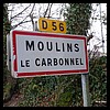 Moulins-le-Carbonnel 72 - Jean-Michel Andry.jpg