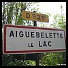 Aiguebelette-le-Lac 73 - Jean-Michel Andry.jpg