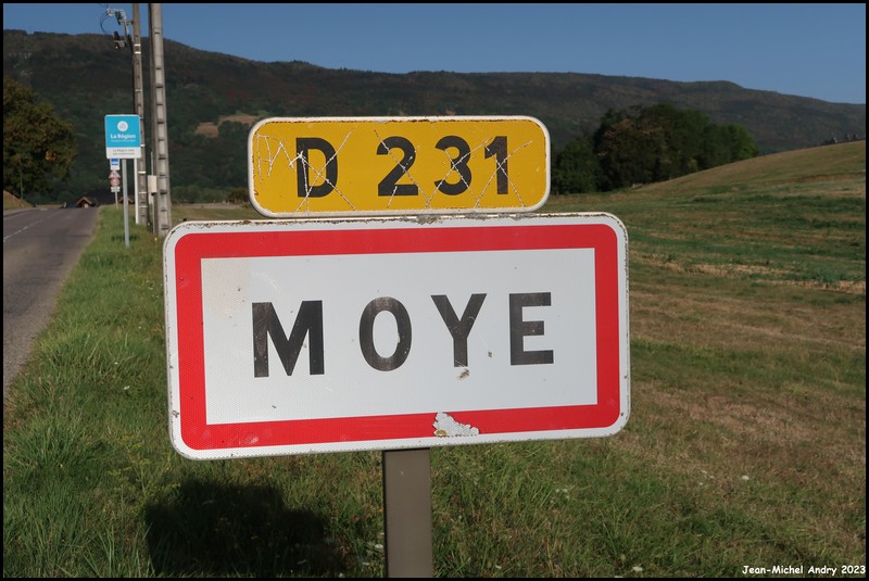 Moye 74 - Jean-Michel Andry.jpg