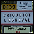 Criquetot-l'Esneval 76 - Jean-Michel Andry.jpg